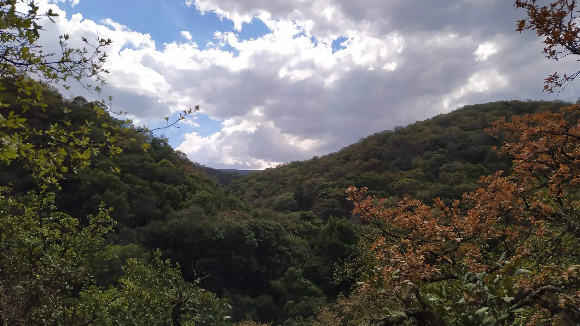 LLUVIAS Y FRIO DURANTE LOS PROXIMOS DIAS EN GUANAJUATO(3)